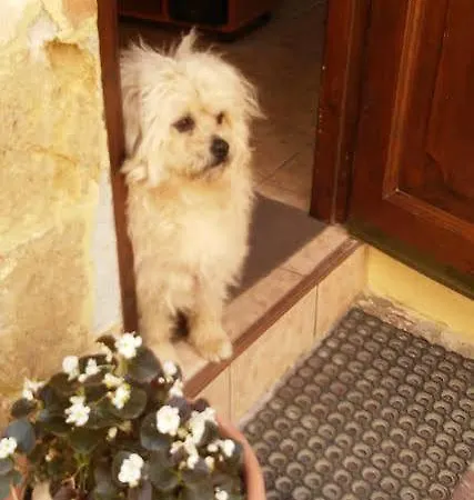 Iason アパートホテル